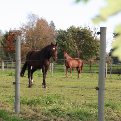 45mm Plastic Round Post with Spike - Grey 45mm Plastic Round Post with Spike - Grey